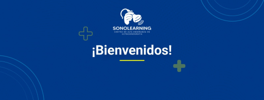 Sonolearning Academy